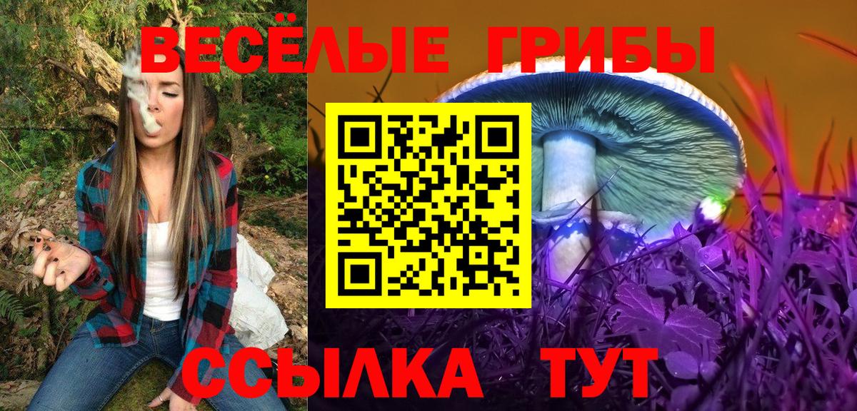 Десногорск  Галлюциногенные грибы мухоморы  Вход с VPN 